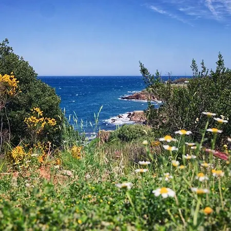 Résidence Antinéa Village de vacances 4*