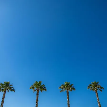 Résidence Antinéa Argelès-sur-Mer