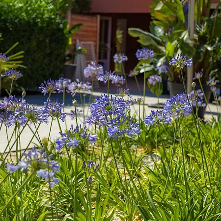 Résidence Antinéa Village de vacances