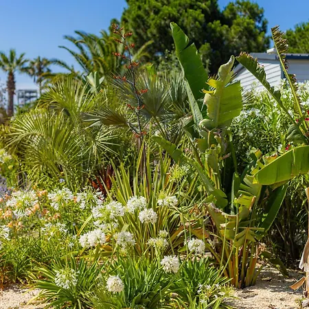 Résidence Antinéa Village de vacances