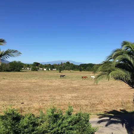 Antinea Holiday park