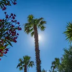 Antinea منتزه العطل