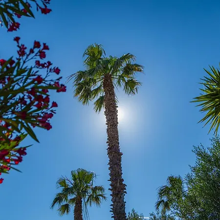 Résidence Antinéa Parque de vacaciones