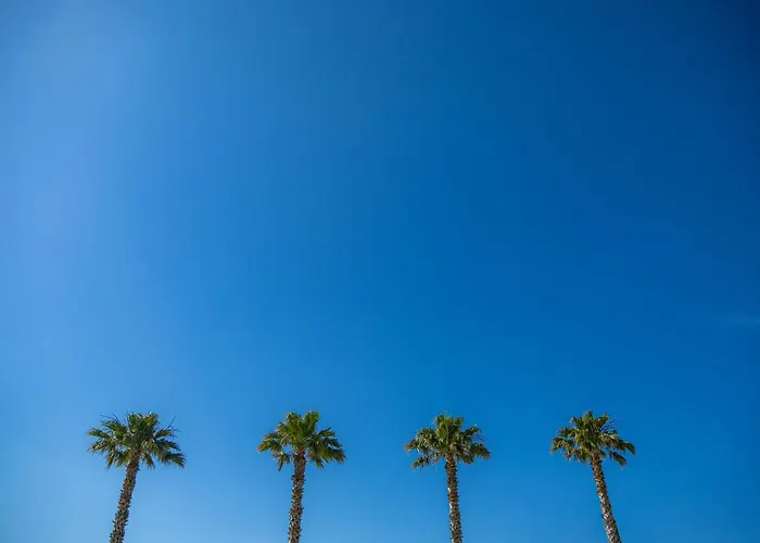 Résidence Antinéa Argelès-sur-Mer