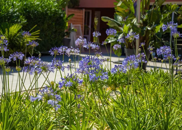 Résidence Antinéa Parco vacanze